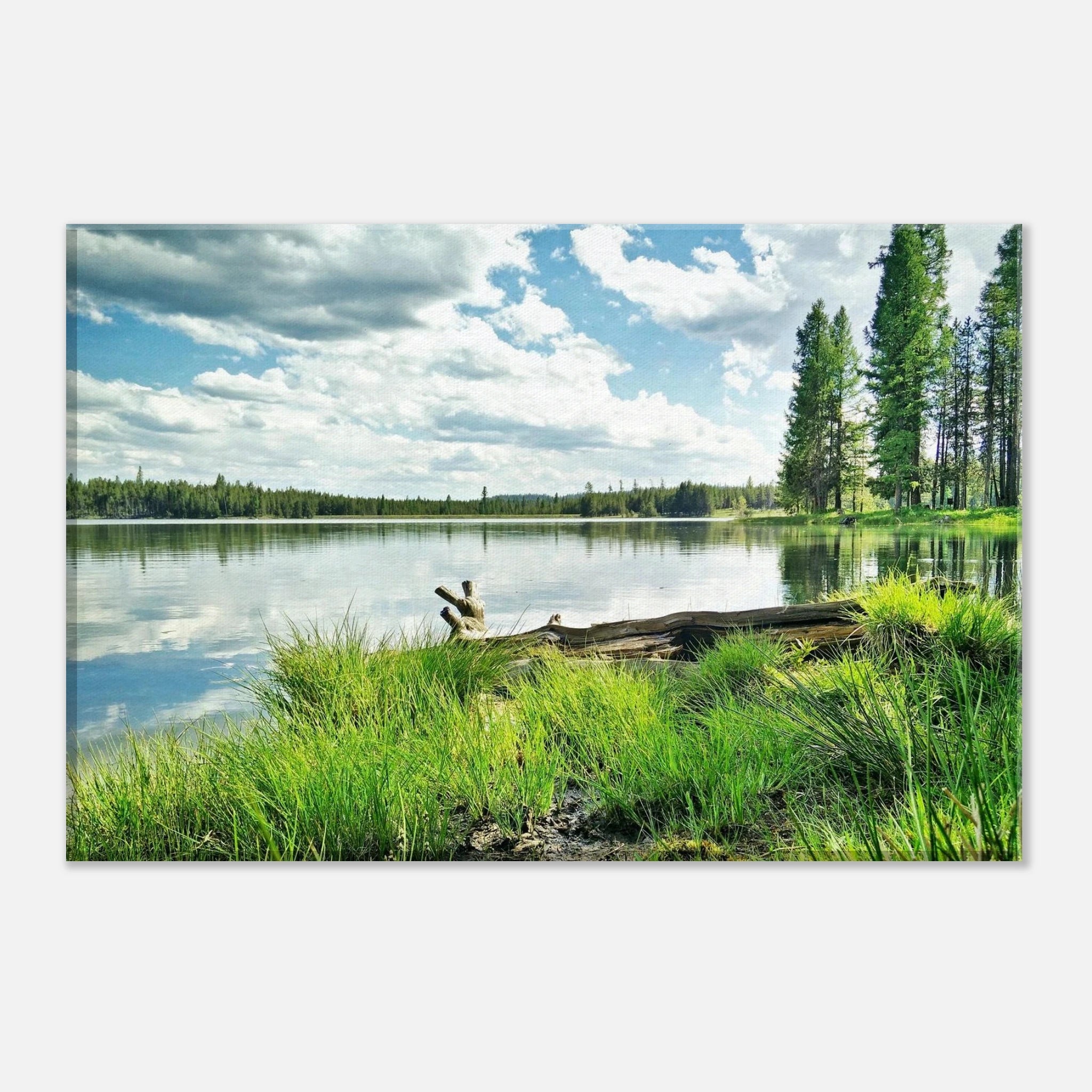 1670e9ee-2583-4a28-b5ba-96592f392dfe