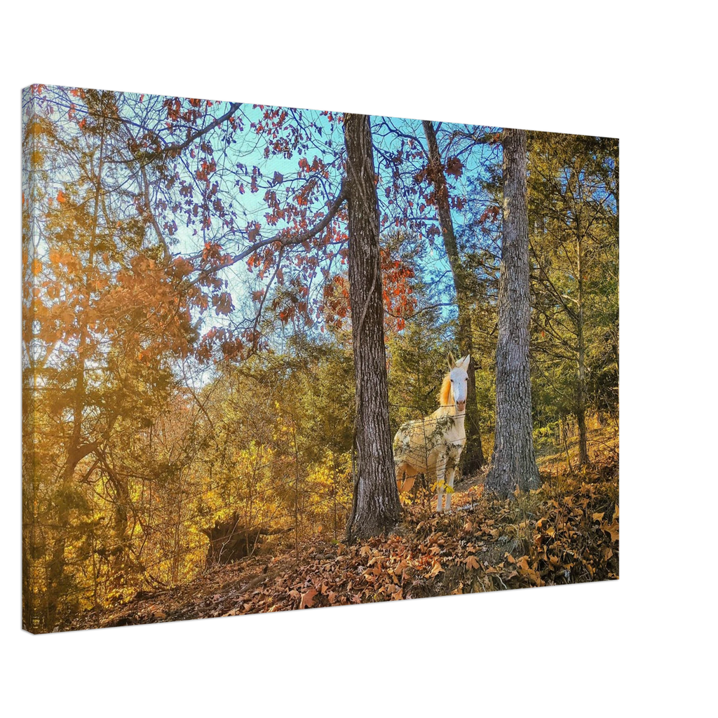 1fb86523-6f10-4c10-97cf-186b12d503cb