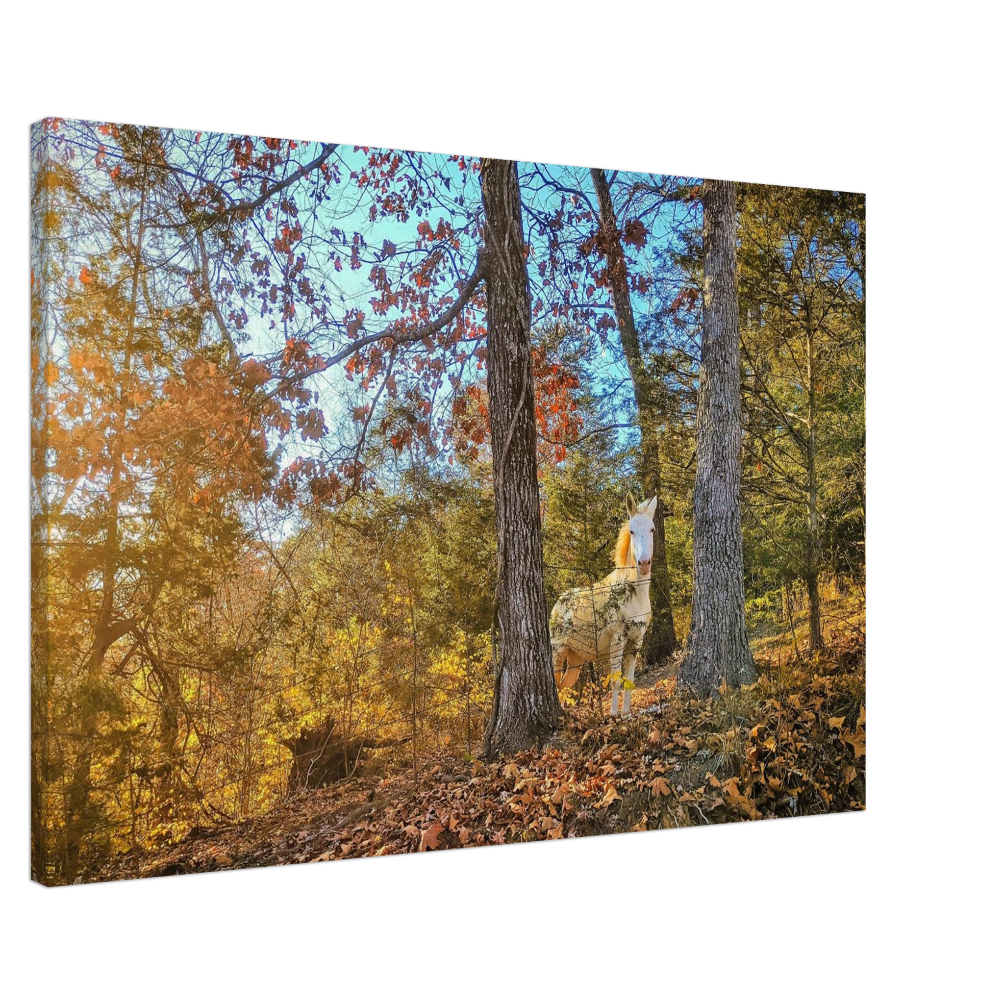 1fb86523-6f10-4c10-97cf-186b12d503cb