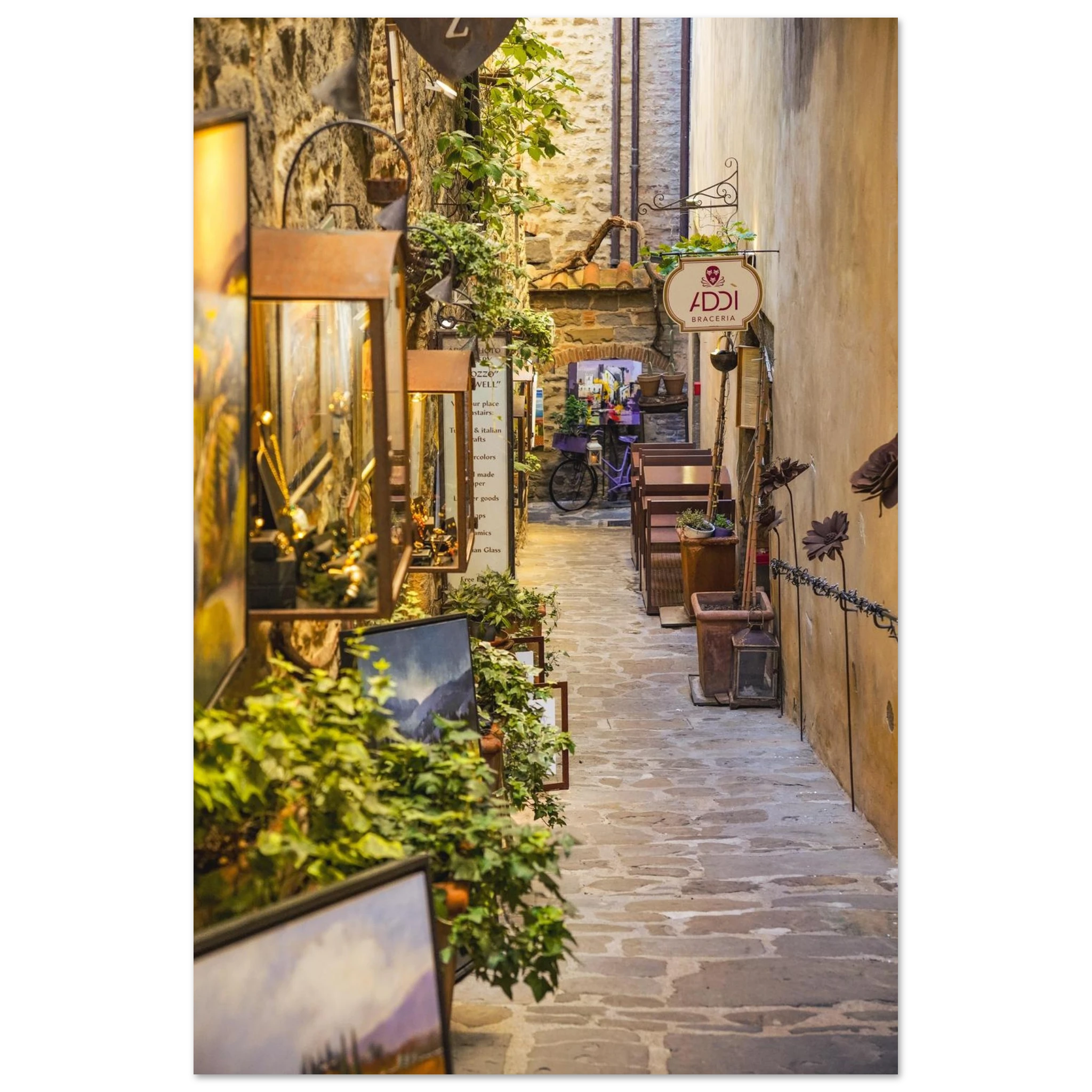 367c8237-4b12-4abf-b039-7a961f29bb66