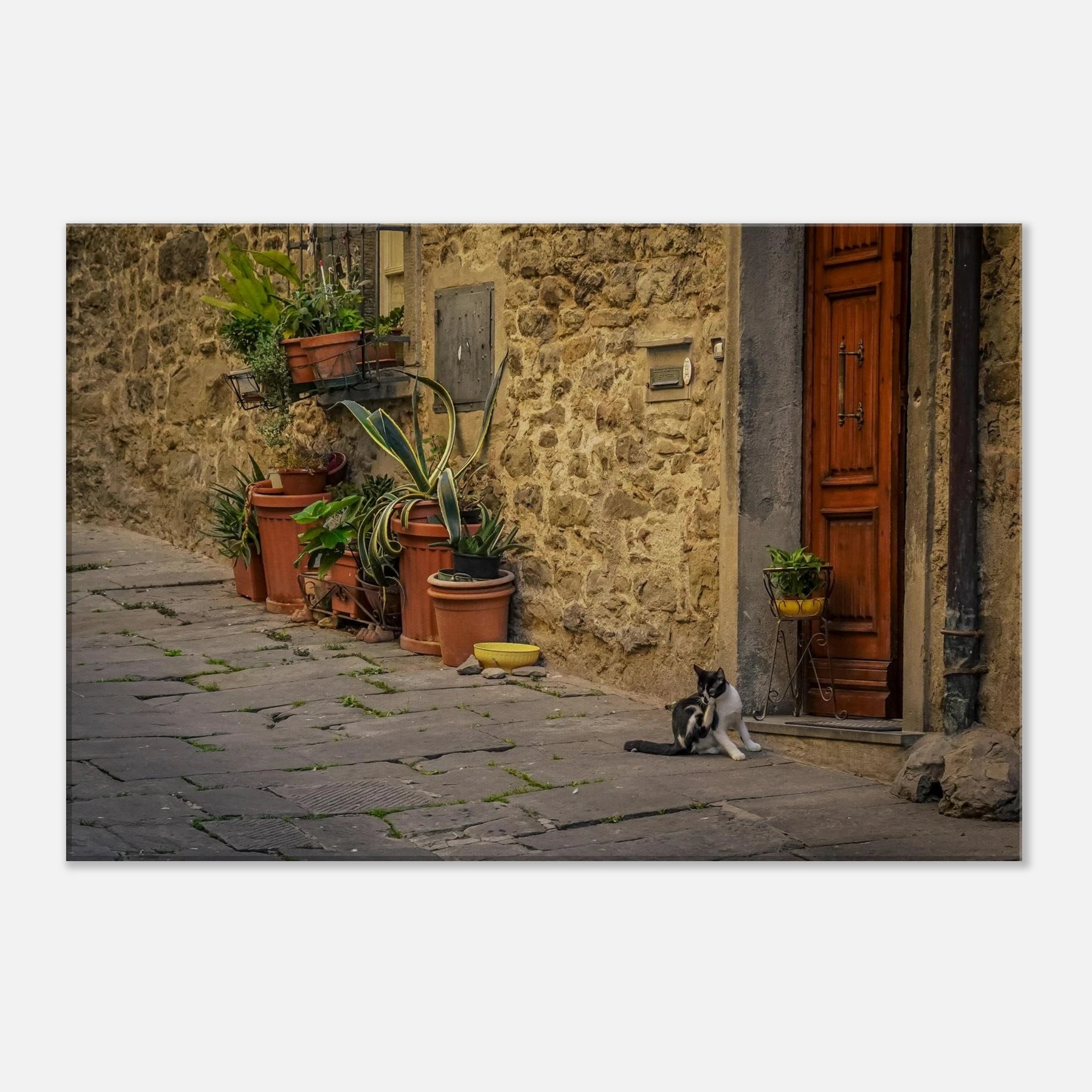 4fb6feee-1abe-49fb-8a36-a6e3a7ea149c