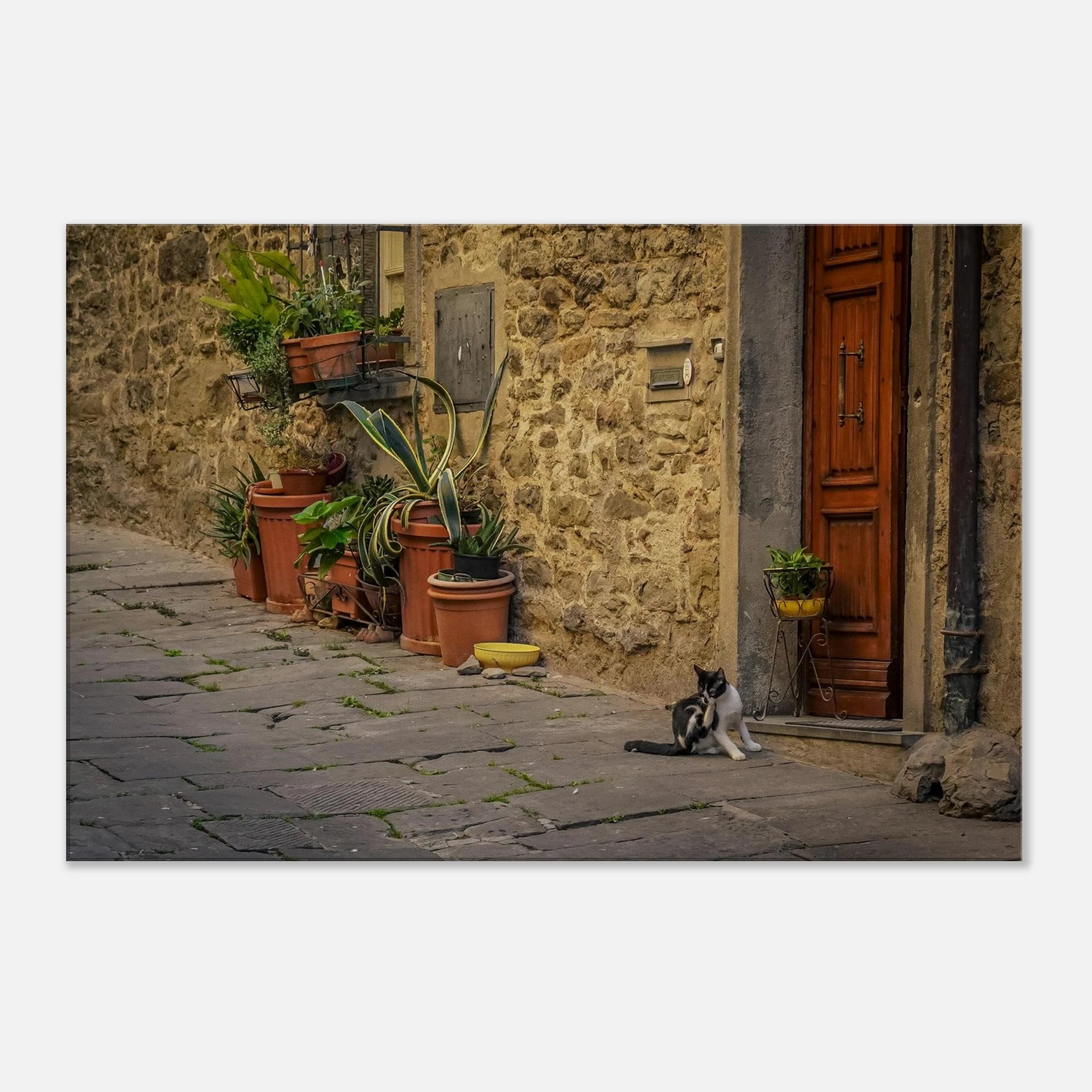 9c5d03c3-fe7e-4c7b-bcc4-e2a78af73028