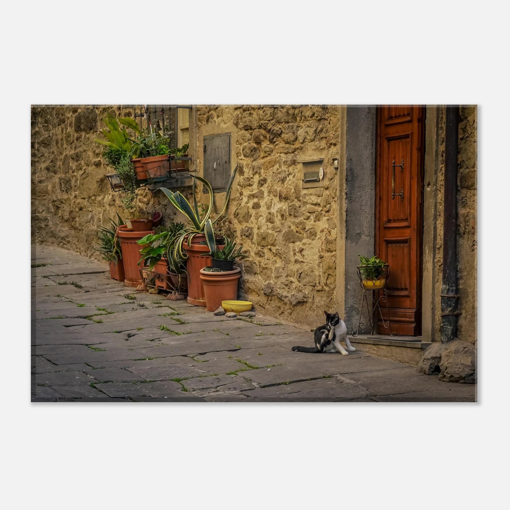 9d6aa886-e141-49e7-bf06-135475dc7ce8