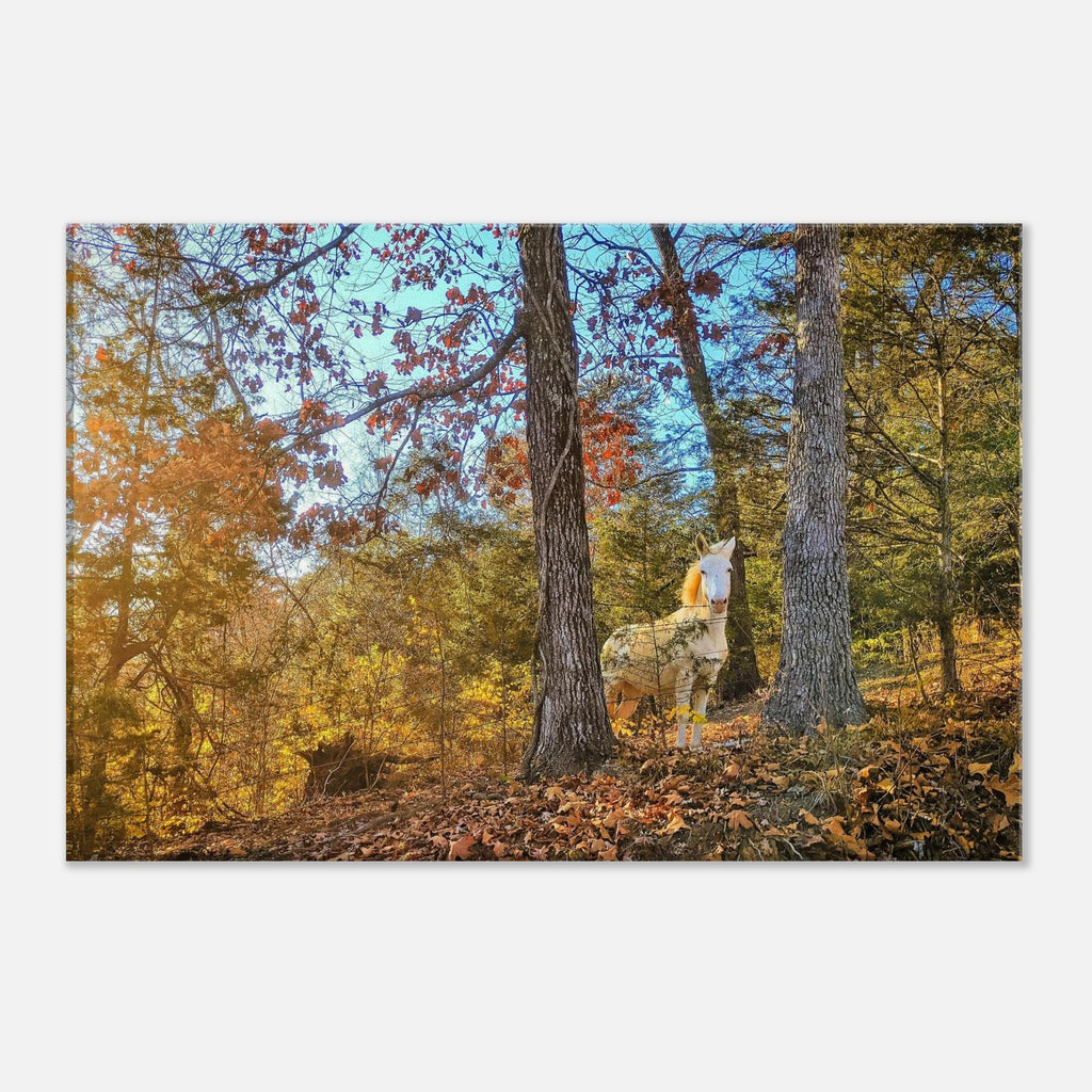 be4b48bc-b9cd-48fa-ac95-3a632fc41570