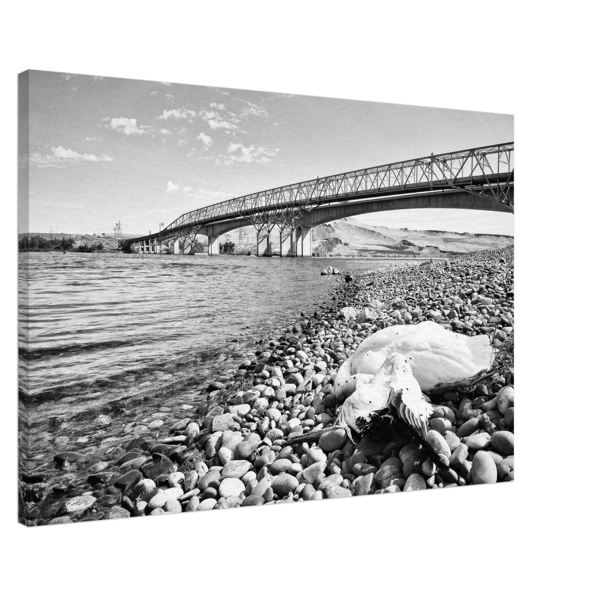 c0f23329-fbfa-4f54-833a-1cf57689ed1a