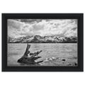 cd87eda5-51d9-4a40-8f49-3012dc9b1858