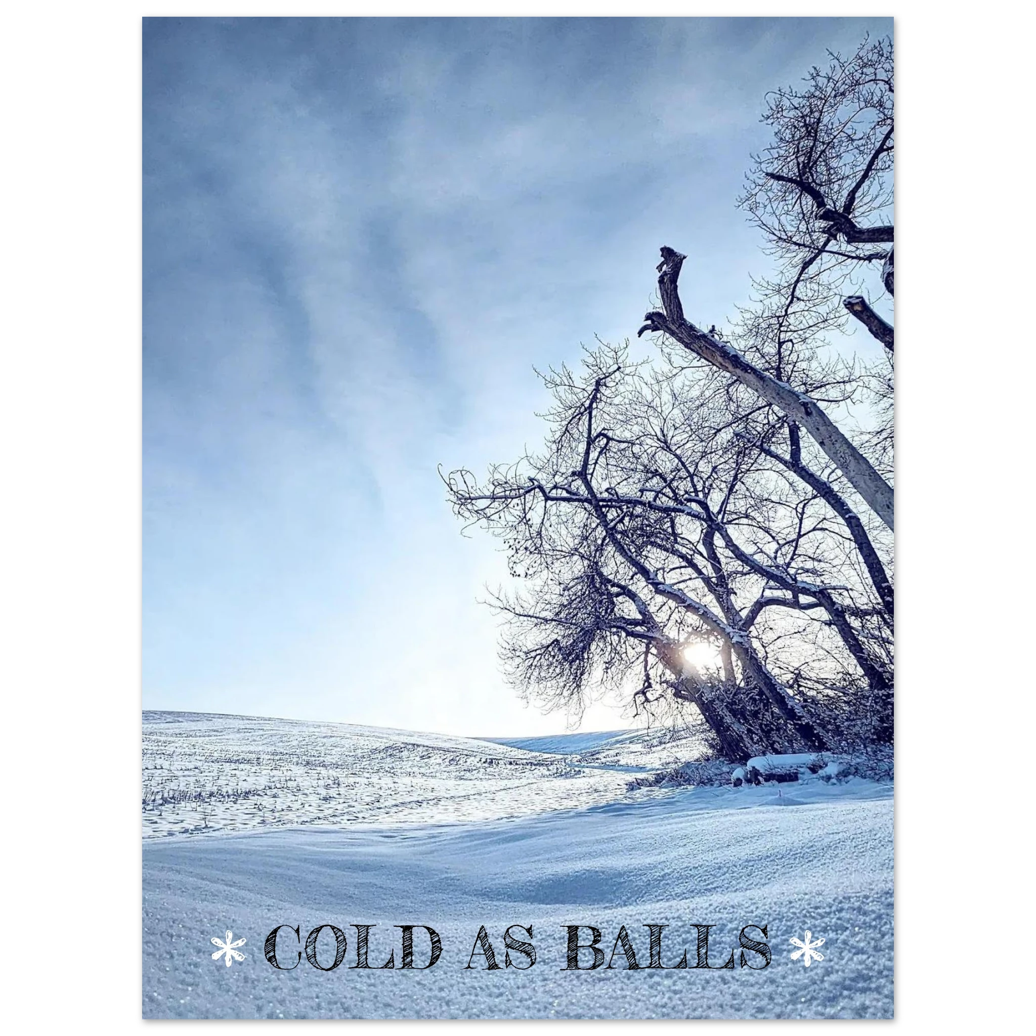 cdde7544-ad5e-480b-b123-d7ea6699487d