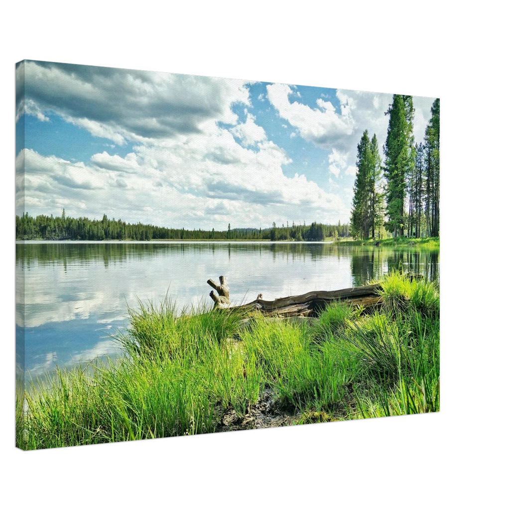 e0ee69d6-4a37-45a3-9e39-147a7c6d97a1