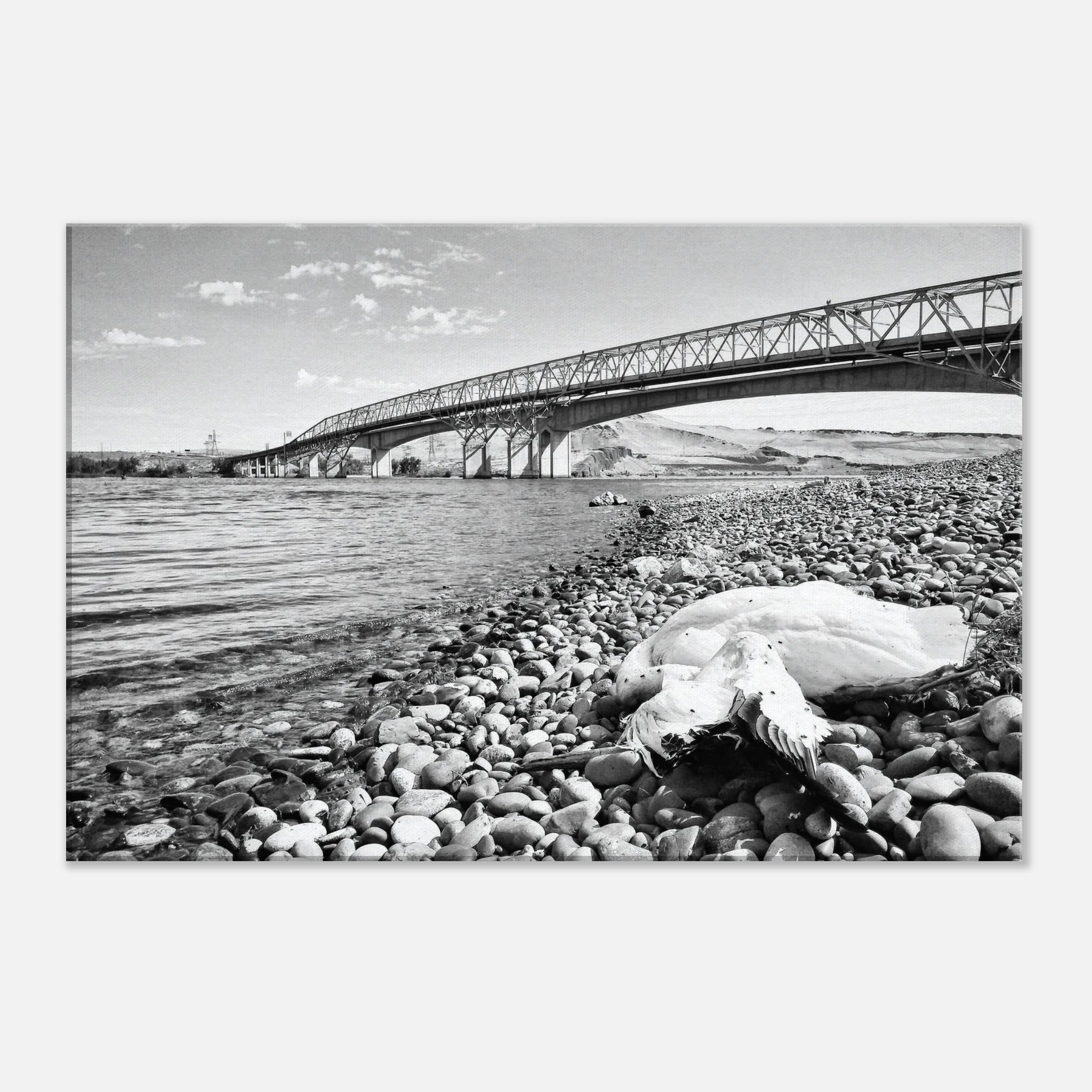 e7513064-1190-4cb1-bb8a-96662cc191e6